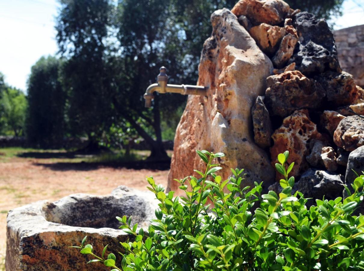 Dimore Storiche - Ulivo Di Aldo Martina Franca Ngoại thất bức ảnh